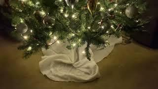 WHAT THE CAT DID TO MY CHRISTMAS TREE - 2025