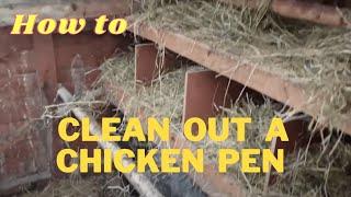 How to clean out a chicken pen