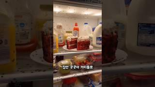 집안을 점령한 불청객 