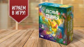 ЛЕСНЫЕ ТАЙНЫ: играем в настольную игру | красивая игра для семьи, простые правила