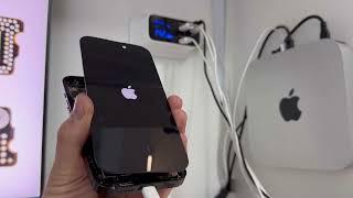 iPhone 14 Pro не включается. Южно-Сахалинск