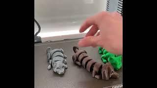 Trish robotics labs
