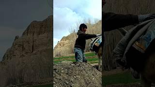 surviving in the Afghanistan village #bamyan #village #afghanistan