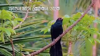 মানচিত্র আর মায়ের ভাষা পুড়েছিলো এক আগুনে, বাংলাদেশটা বদলে গেছে বায়ান্নর সে ফাগুনে