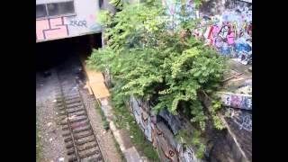 Gare de Montrouge (petite ceinture)