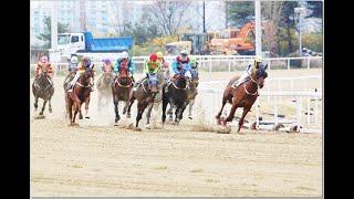 유투브영상삭제/2024년 11월 둘째주 준비