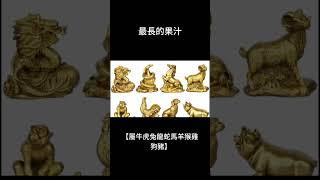 狗豬=果汁#笑話 #故事