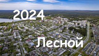 Лесной лето 2024