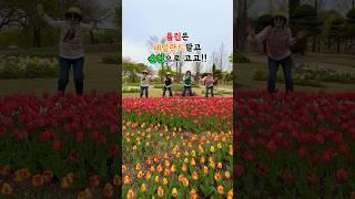 튤립은 순천만 국가정원이 찐입니다!! 봄여행은 순천! 추천해드려요 #튤립 #튤립축제 #순천여행 #순천만국가정원 #댄스챌린지 #브이로그 #suncheon