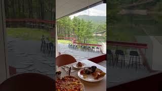 여기 진짜 강추!! 레드…파주에 있는건디.. #shorts #파주맛집