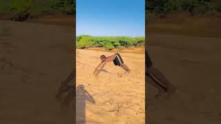#flip #videos #asad #tiger