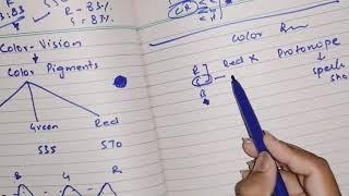 Color vision, Color blindness, guyton 51 part 6, neural function of retina #specialsensoryphysiology