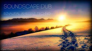 Liquid Fraction - Soundscape DuB - Ambient Techno Mixed with Binaural Effects - Nov 2020.