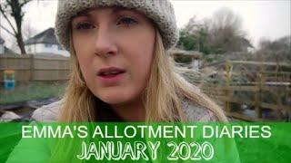 EMMA'S ALLOTMENT DIARIES // JANUARY // ALLOTMENT VLOG