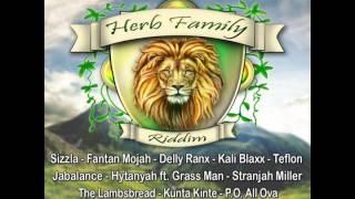 Herb Family riddim 2014 mix (Dj CashMoney) [MORE LIFE PRODUCTIONS & VIS RECORDS]