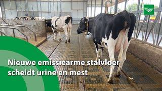 Nieuwe emissiearme stalvloer scheidt urine en mest