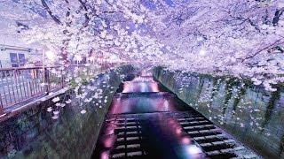 TOKYO - Asian ChillOut {Japanese Zen Lounge}