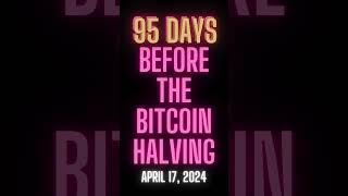Daily Disruption!  95 Days Before the Bitcoin Halving!!!  #shorts #btc #bitcoin