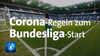 Bundesliga-Start mit 23.000 Fans - Diskussionen über Corona-Regeln