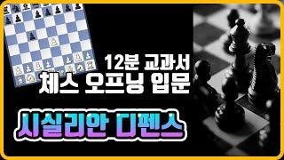 [체스오프닝 입문] 12분 교과서, 시실리안 디펜스 Sicilian Defense