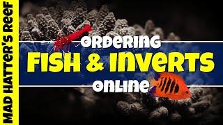 Ordering Fish and Invertebrates Online for the Pico Reef Tank