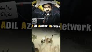 Wilayat E Ali???
