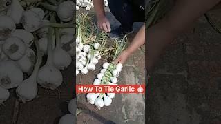 How To Tie Garlic  #shorts #youtubeshorts #shortvideo