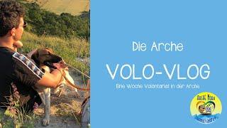  |DIE ARCHE - Volo-VLOG: Eine Woche Volontariat in der Arche| 