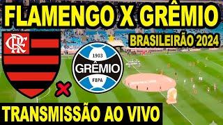 FLAMENGO X GRÊMIO AO VIVO DIRETO DA ARENA DO GRÊMIO -  CAMPEONATO BRASILEIRO 2024