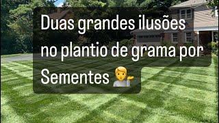 Não cometa esse erro ao plantar grama por sementes