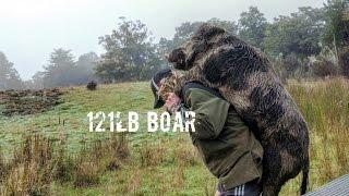 Hog Hunting in New Zealand | Big 121lb Tusky Boar | Part 2