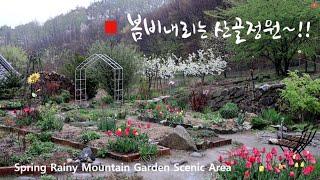 [SUB]  봄비 내리는 정원풍경 / 비오는 날에 부추전 / 시골정원 / Korean garden in spring rain~!!