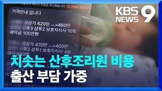 치솟는 산후조리원 비용…“4년 만에 160만 원 인상” [9시 뉴스] / KBS  2024.04.11.