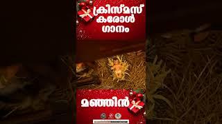 Manjin raathriyil | ക്രിസ്‌മസ്‌ കരോൾ ഗാനം |  @JinoKunnumpurathu  #shorts #christmas