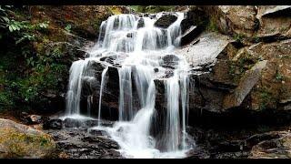 paglajhora waterfallsTindharia bike ride पगलाझोरा तिंधरिया/कुर्सियांग/दार्जिलिंग के रास्ते मे आता है