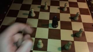 Springer Schach Figur Das Pferd Schachfigur Bewegung Schach spielen lernen Schach Regeln Anleitung