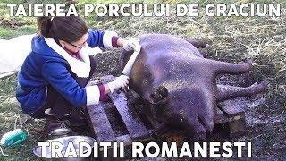 Taierea si Transarea Porcului de Craciun - Traditii Romanesti de Ignat [Eng Sub]