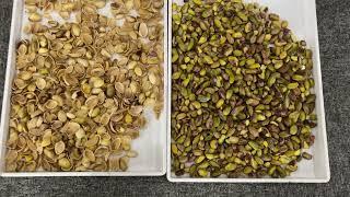 infrared optical sorting for pistachio