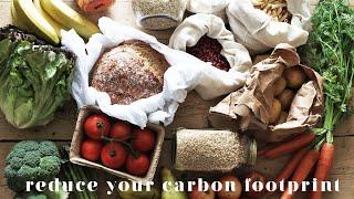 TOP 5 WAYS TO REDUCE YOUR CARBON FOOTPRINT