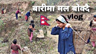 बारीमा मल बोक्दै#vlog#nepal@ChannelMunu532