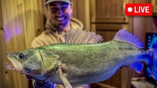 LIVE   Lake Winnipeg Walleyes (!!)
