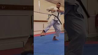 Shotokan Kata: Bassai Dai #Karate #shotokan #kata