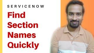 How to Find Section Names of the Form in ServiceNow ? Engineer Vineet Jajodia