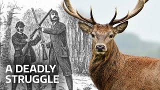 Poaching: A Deadly Struggle | Our History