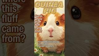 Guinea Pigs Were Once Sacred?!  #GuineaPigHistory #GuineaPigs #PetFacts #AnimalStories #CutePets