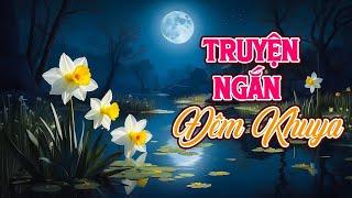 Đọc Truyện Đêm Khuya Nghe Là Ngủ Một Mạch Tới Sáng - Đài Tiếng Nói Việt Nam VOV