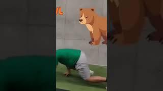 Bear Animal Exercise