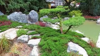 Kyoto in Hessen - japanische Gartengestaltung in Deutschland (Moosgarten)