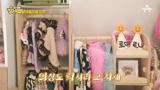 WELCOME TO 강아지 월드! 여기가 말로만 들었던 펫 명품숍? | 잘사는재미 장비빨 4 회