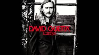 David Guetta ft Emeli Sande - What I Did For Love (Official Audio)